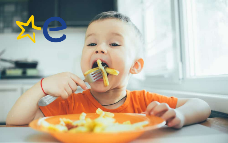 Φριτέζες - Air Fryer